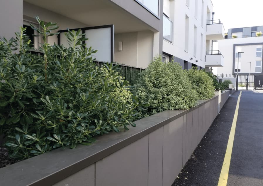 Entretien_espaces_verts_a_Angers_4