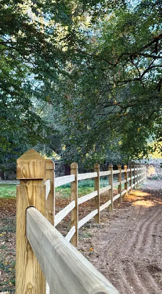 paysagiste cloture angers delanoue paysage 1