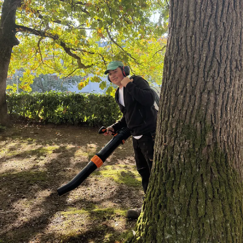 ramassage feuille paysagiste angers 1