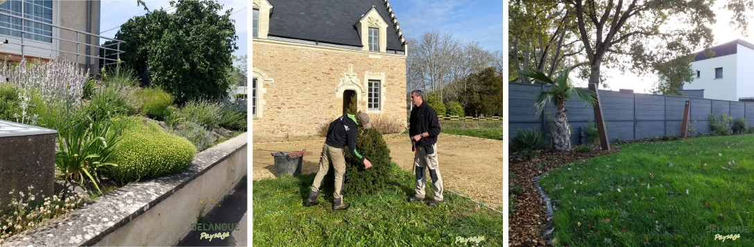 amenagement_paysager_angers_delanoue_paysage_2