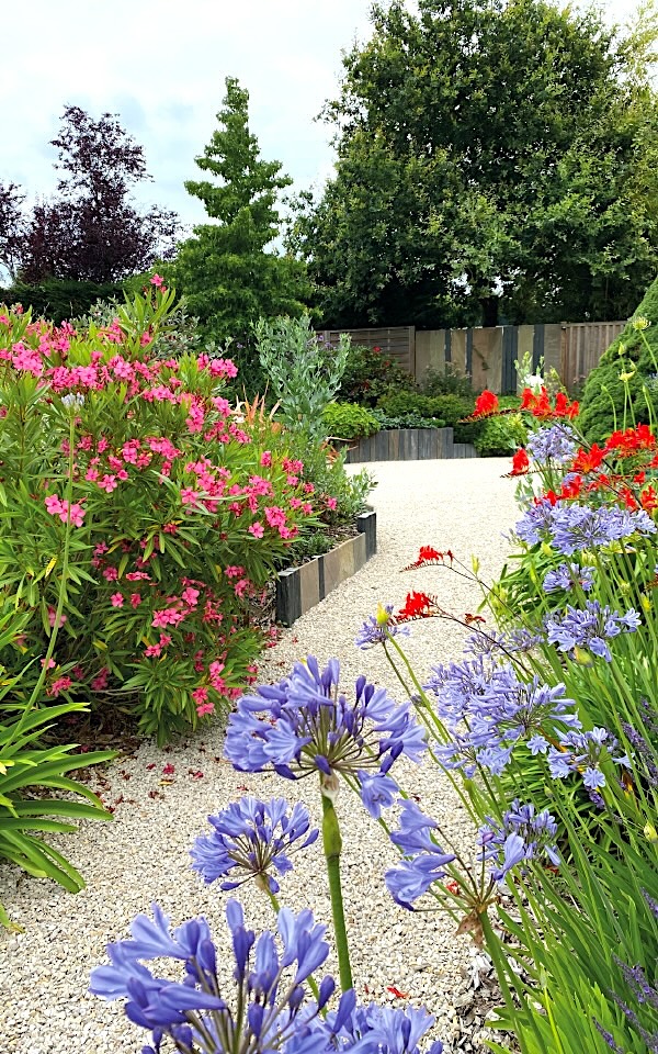 entretien-jardin-angers-delanoue-paysage 2 entretien-jardin-angers-delanoue-paysage 2