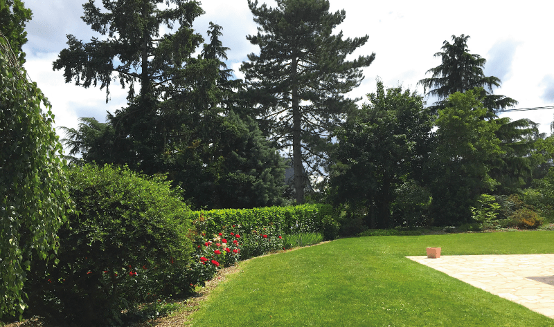 entretien_pelouse_gazon_delanoue_paysage_angers_3