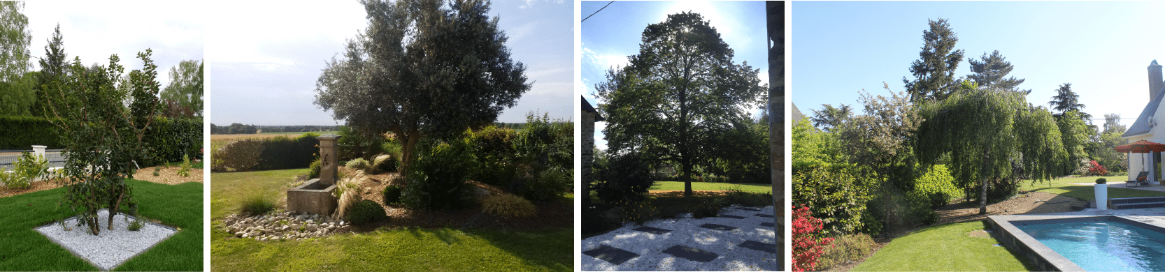 plantation_arbre_paysagiste_angers_delanoue_paysage_1-min