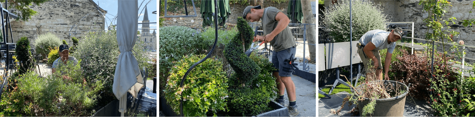 projet_delanoue_paysage_entretien_jardin_contrat_1-min