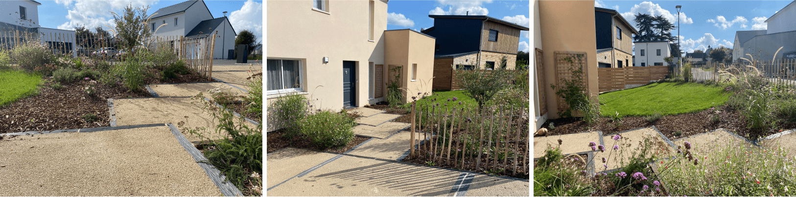 projet_plantation_amenagement_exterieur_delanoue_paysage_1