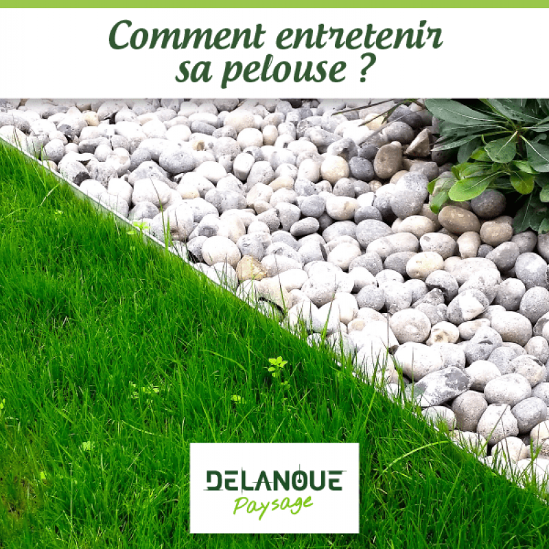 Comment entretenir sa pelouse ? 