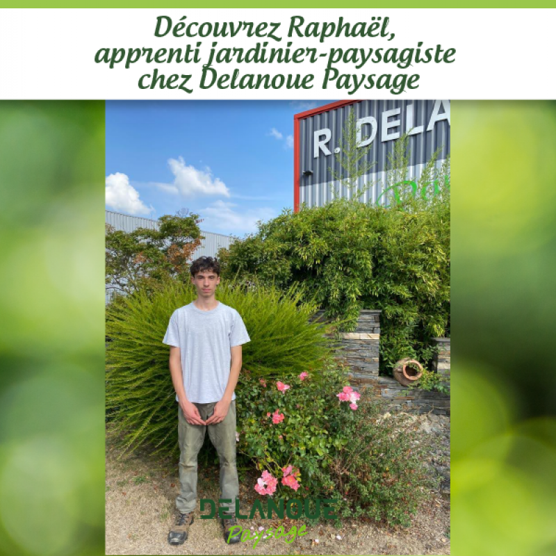Découvrez Raphaël, apprenti jardinier-paysagiste chez Delanoue Paysage Angers Avrillé