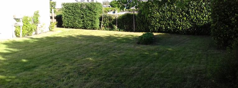 Entretien espaces verts