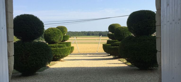 Réalisations de prestige : restauration