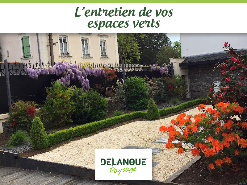Entretien jardin delanoue paysage Angers Avrillé