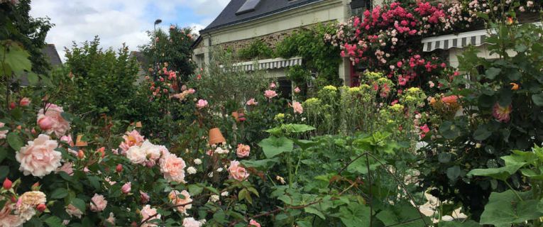 Votre paysagiste à Angers pour créer un jardin