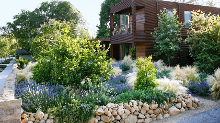 jardin sans arrosage