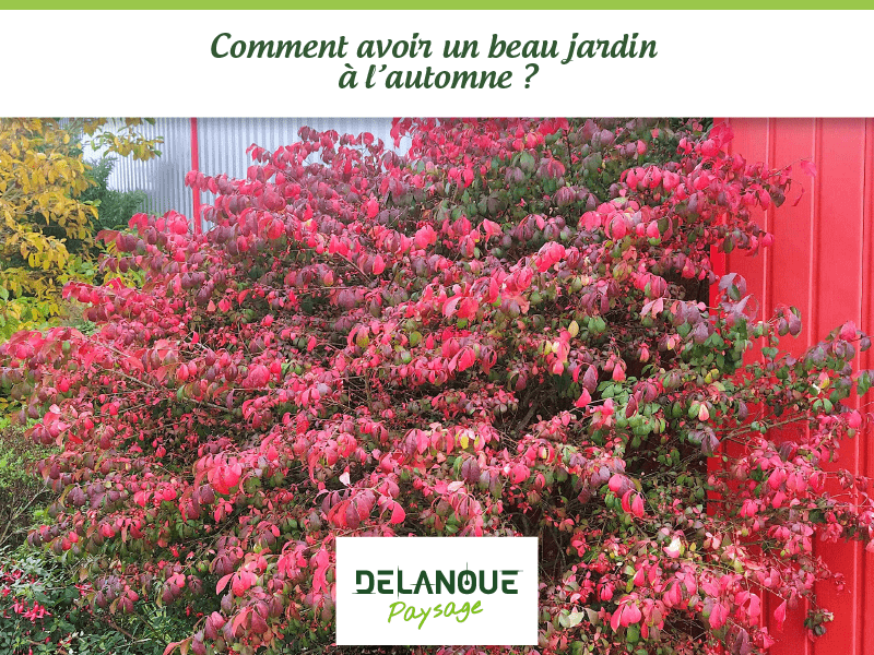 paysagsite angers : beau jardin a l'automne