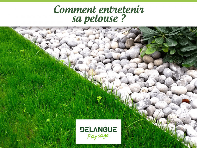 Comment entretenir sa pelouse ?