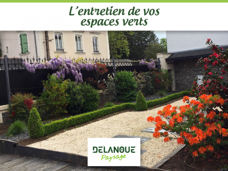 Entretien de jardin et espaces verts à Angers : conseils et solutions professionnelles