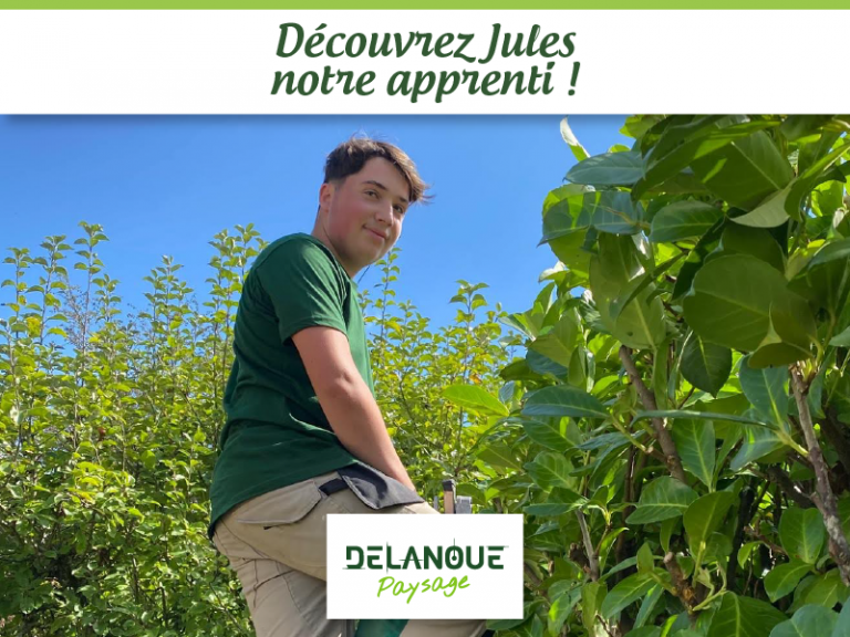 Découvrez Jules, apprenti chez Delanoue Paysage Angers Avrillé