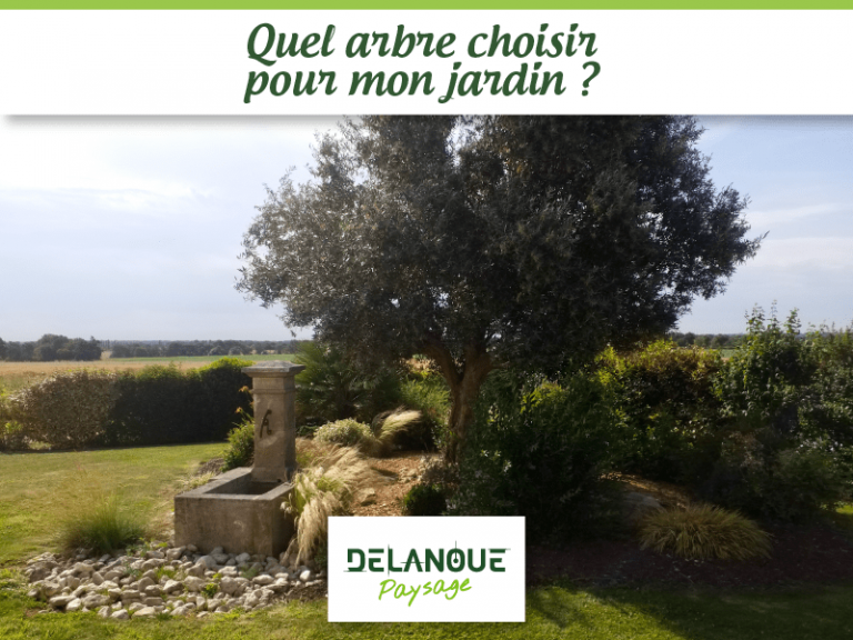 Paysagiste à Angers : quel arbre choisir pour mon jardin ?