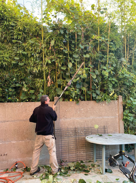 entretien espace vert delanoue paysage 202603 1