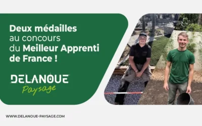 Protégé : Deux médailles au concours du Meilleur Apprenti de France ! Jules et Augustin à l’honneur